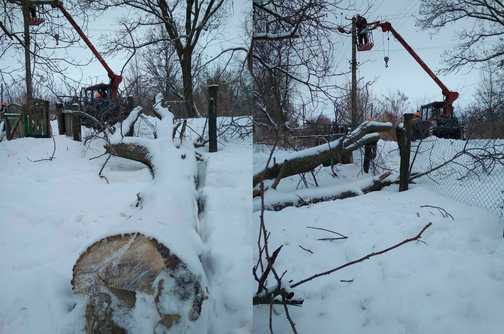 Самовільне спилювання дерев небезпечне як для ліній електропередачі, так і для самих людей