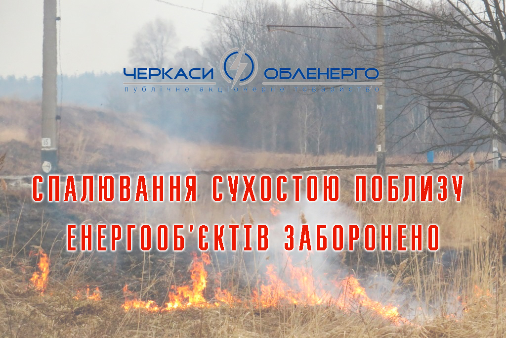 Не спалюйте сухостій в охоронних зонах