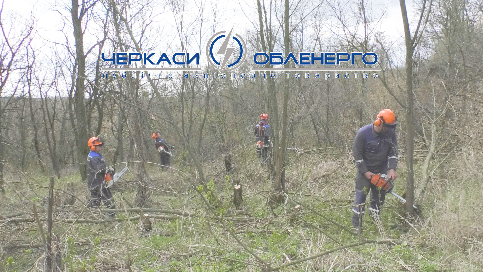 Цьогоріч майже тисячу кілометрів трас повітряних ліній розчистили спеціалісти ПАТ «Черкасиобленерго»